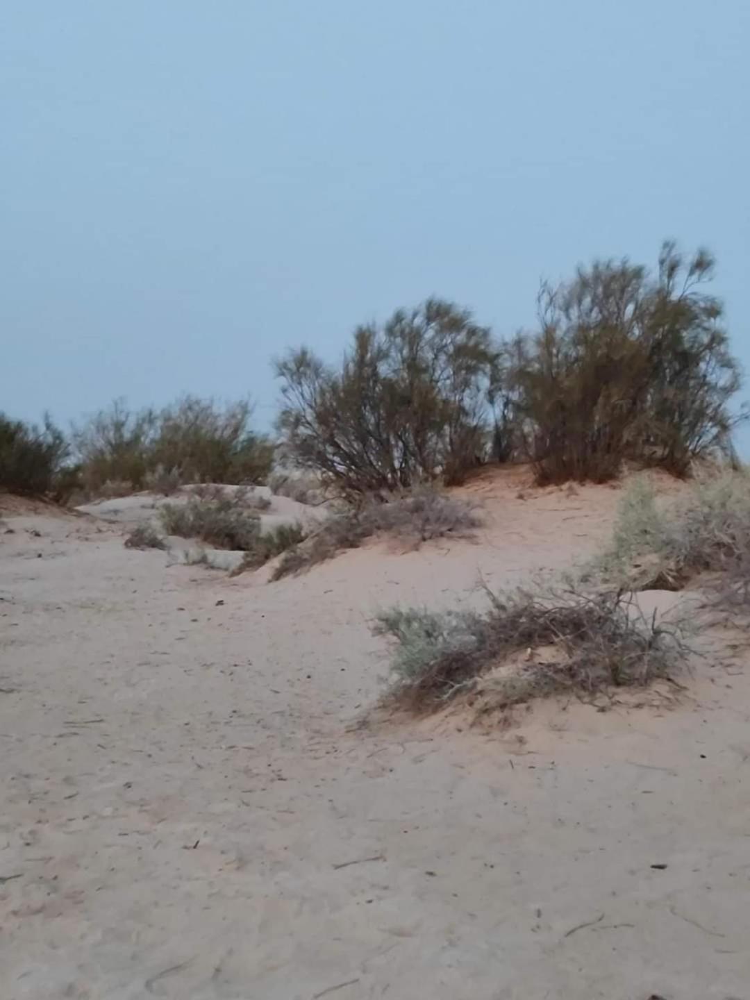 Private Camp25km-from * Douz